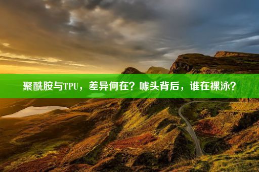 聚酰胺与TPU，差异何在？噱头背后，谁在裸泳？