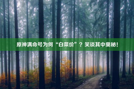 原神满命号为何“白菜价”？笑谈其中奥秘！