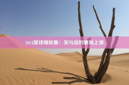 2014排球锦标赛：笑与泪的赛场上演