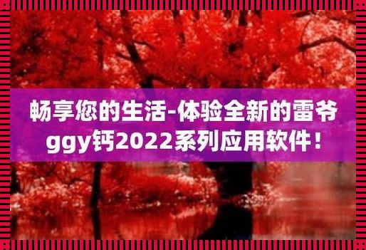 2023钙Gy钙站，狂欢不止，笑点连连