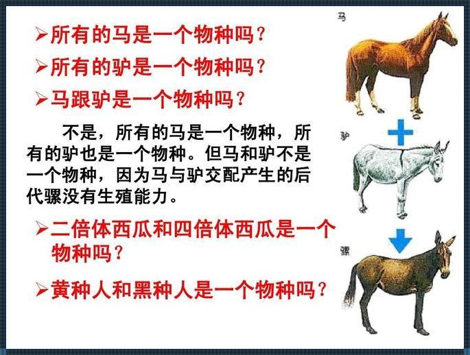 《匠人匠心，人兽共舞：游戏世界的“马”奇缘》