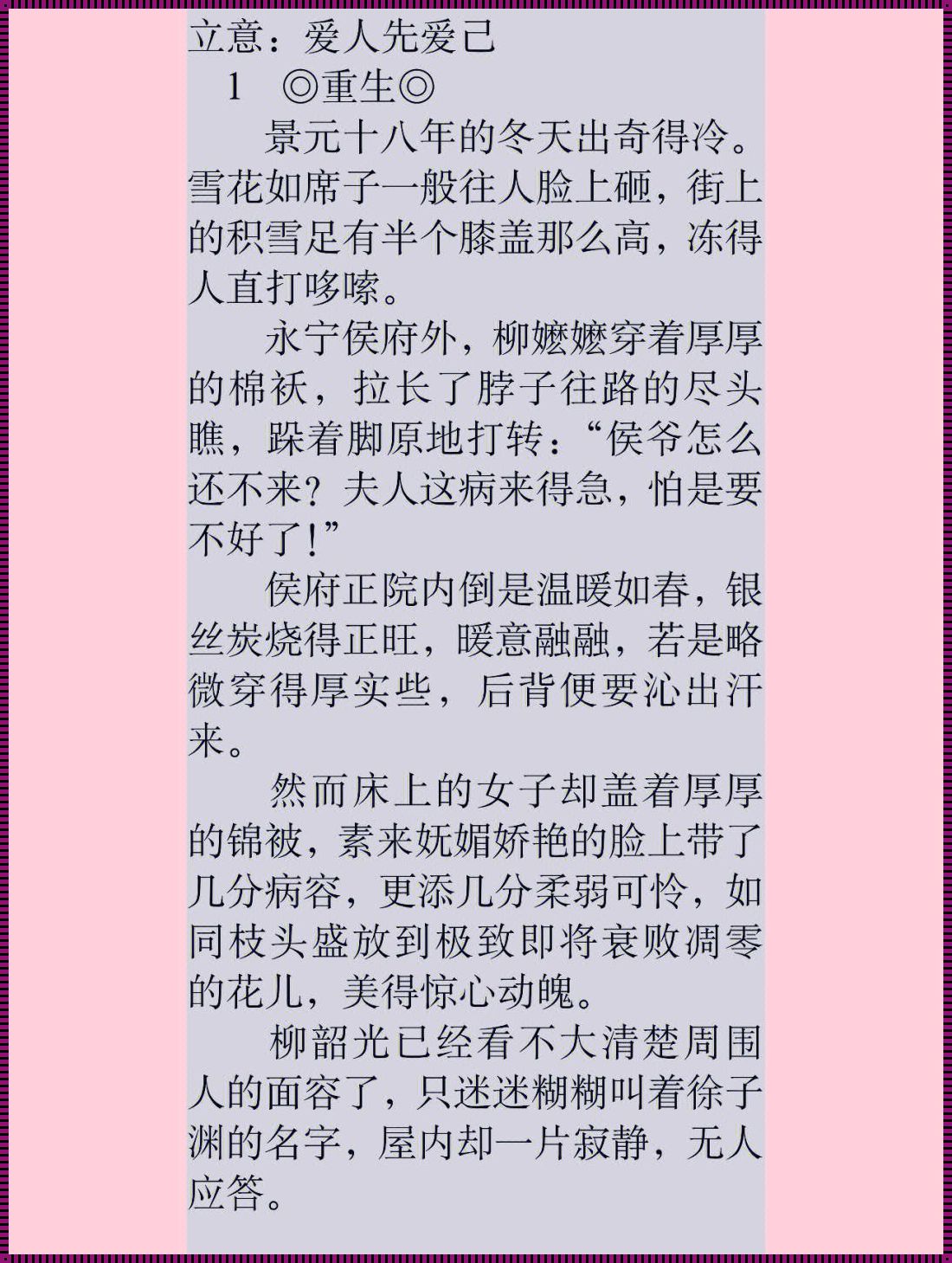 《网络小说乱炖：匠心独运的免费盛宴》