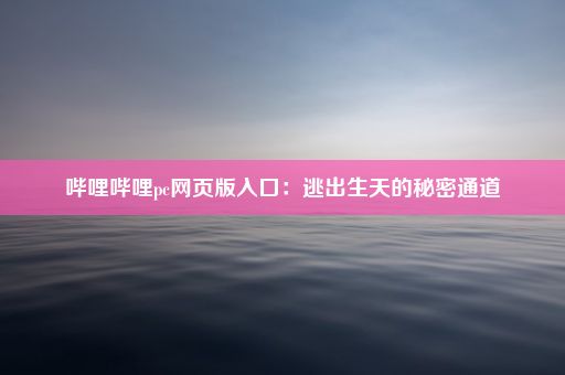 哔哩哔哩pc网页版入口：逃出生天的秘密通道