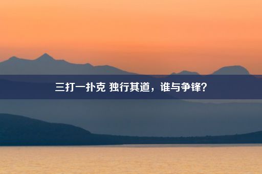 三打一扑克 独行其道，谁与争锋？