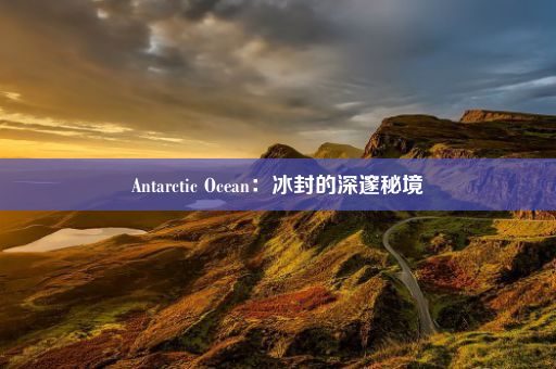 Antarctic Ocean：冰封的深邃秘境