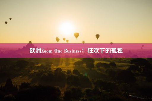 欧洲Zoom One Business：狂欢下的孤独