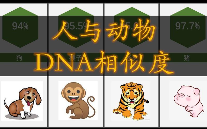 “猪的DNA与人类的DNA相似度”——探究游戏业界中的“猪队友”现象