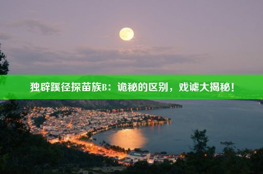 独辟蹊径探苗族B：诡秘的区别，戏谑大揭秘！