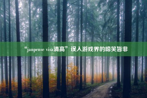 “janpense visa清高”误入游戏界的啼笑皆非