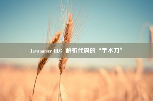 Javaparser HD：解析代码的“手术刀”