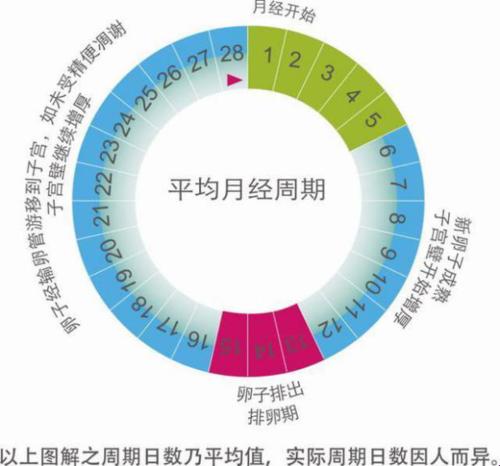 妈妈说安全期没事 加空格 “游戏里的陷阱，现实中的盲点”