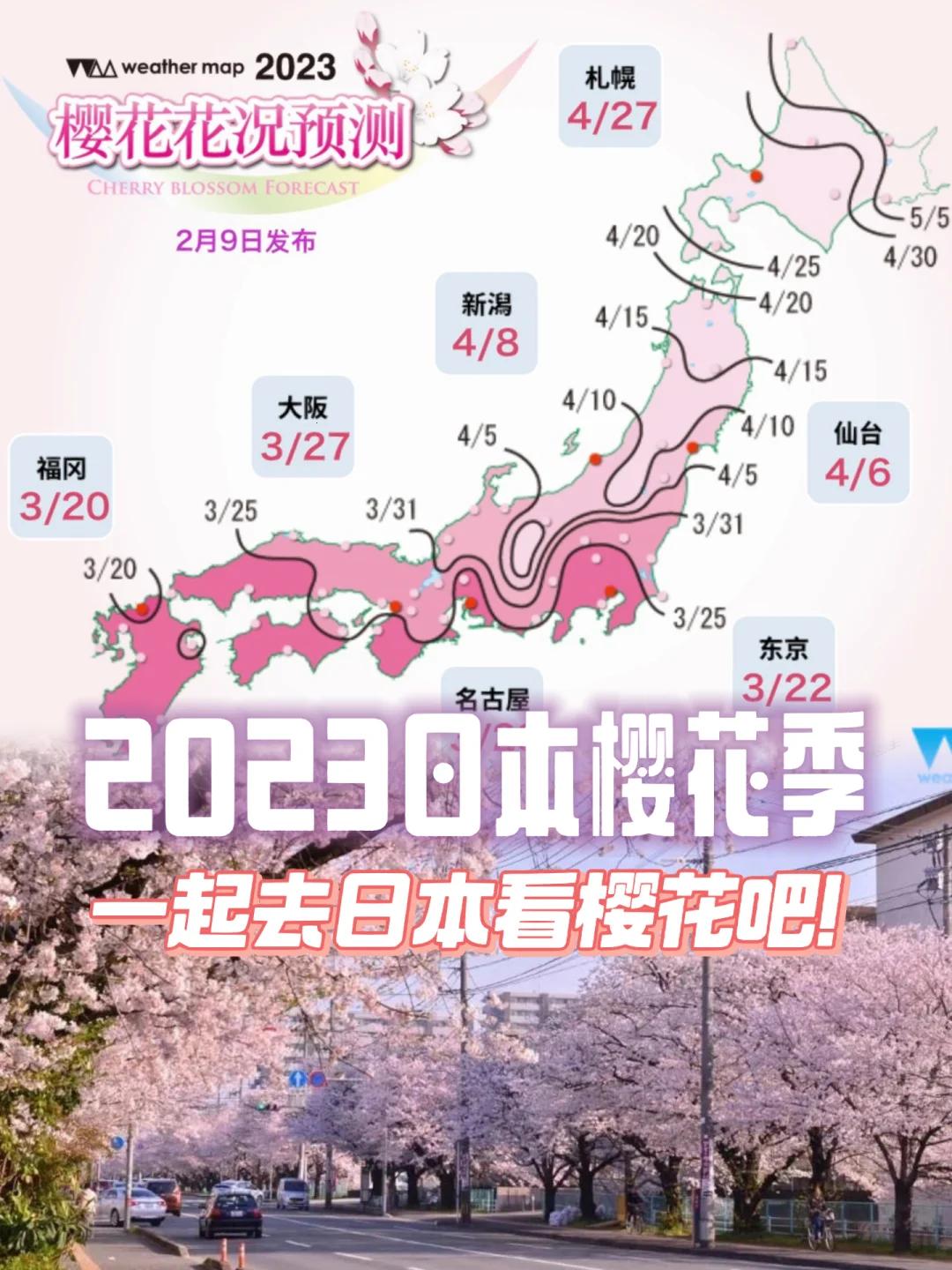 樱花官网官方入门网站2023：诡异江湖的探险指南