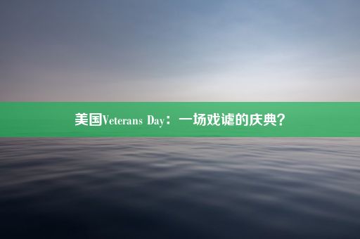 美国Veterans Day：一场戏谑的庆典？