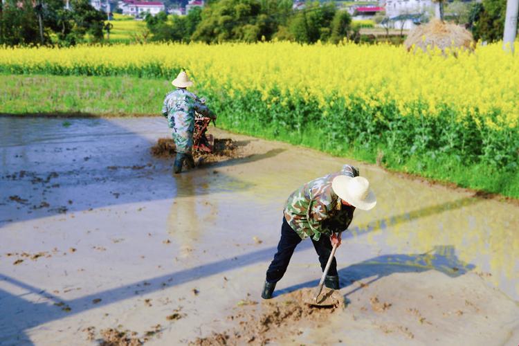 “种瓜得瓜，种豆得豆？No！子耕母田引爆新潮流！”