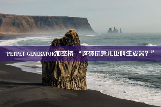 PETPET GENERATOR加空格 “这破玩意儿也叫生成器？”