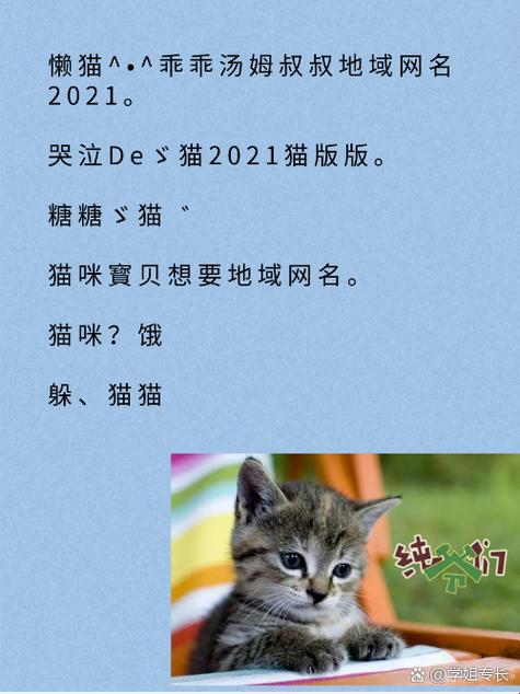 “猫咪mv最新地域网名怎么取mao”辣眼网名大揭秘，独领风骚的“mao”主义